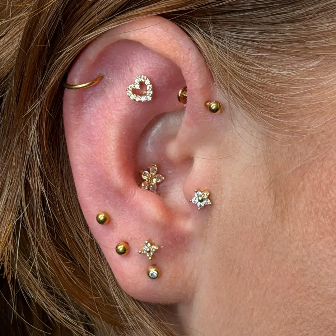 Verschiedene Piercing-Arten am Ohr, gestochen bei Skin City in Ahrensburg